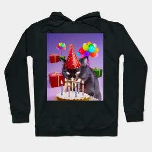 Cat Kitty Black Eating Birthday Party Cake, Funny Cute Hoodie